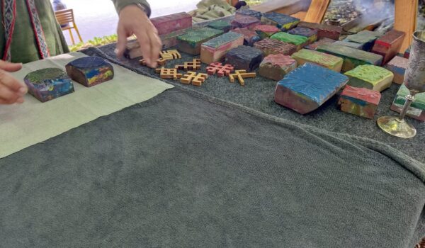 357100981_238950162416856_3613663062809457720_n