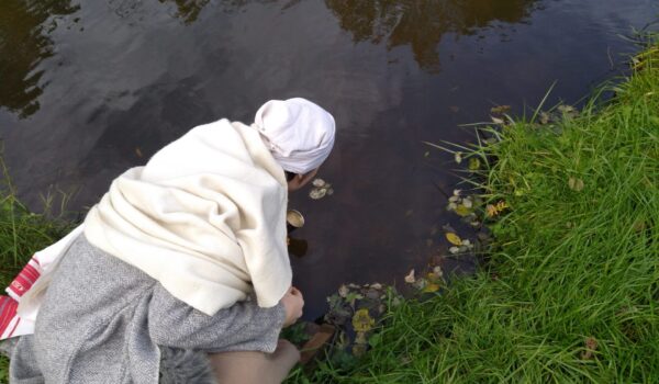 IMG_20231021_141159 IMG_20231021_141159